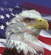 eagle-flag