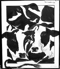[cows II]