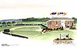 [artist's Original Field Picture]
