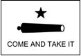 Digital reproduction of the Come and Take It flag.